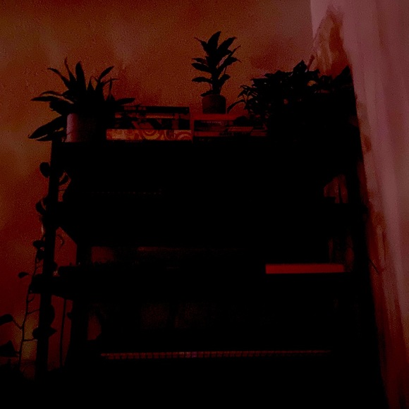 Meet your Posher, David - Picture 1 of 1